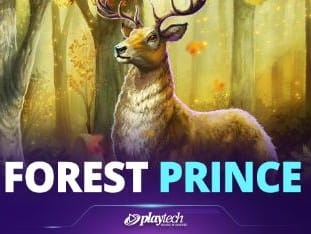 Forest Prince™ game thumbnail